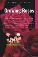 Growing Roses