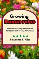 Growing Ranunculus