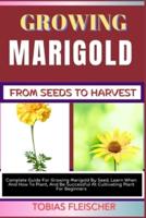 Growing Marigold from Seeds to Harvest