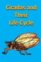 Cicadas and Their Life Cycle