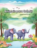 Animais Para Colorir