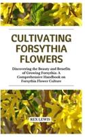 Cultivating Forsythia Flowers