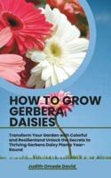 How to Grow Gerbera Daisies