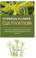 Cyperus Flower Cultivation