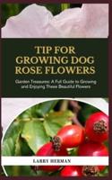Tip for Growing Dog Rose Flowers