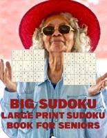 Big Sudoku