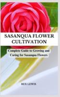 Sasanqua Flower Cultivation