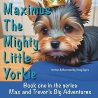 Maximus The Mighty Little Yorkie