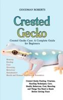 Crested Gecko Care