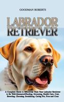 Labrador Retriever