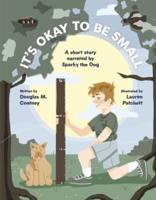It's Okay to Be Small