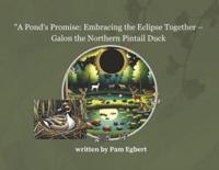 A Pond's Promise: Embracing the Eclipse Together - Galon the Northern Pintail Duck