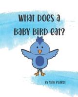 What Does A Baby Bird Eat?