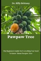 Pawpaw Tree