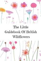 The Little Guidebook Of British Wildflowers: for children, teens and beginners