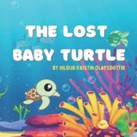 The Lost Baby Turtle