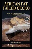 AFRICAN FAT TAILED GECKO: How To Care For Your Fat Tailed Gecko