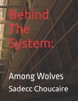 Behind The System: Among Wolves