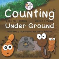 Counting Under Ground