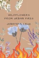 Wildflowers From Urban Fires