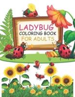Ladybug Coloring Book For Adults