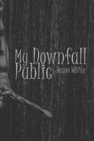 My Public Downfall