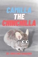 Camilla The Chinchilla