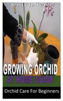 Growing Orchid at Home Guide