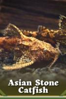 Asian Stone