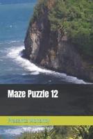 Maze Puzzle 12