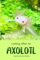Looking After An Axolotl
