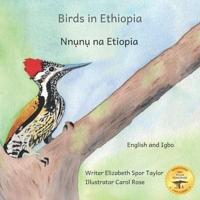 Birds in Ethiopia