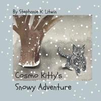 Cosmo Kitty's Snowy Adventure