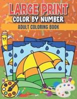 Large Print Adult Color By Number Coloring Book