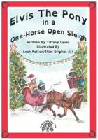 Elvis the Pony in a One-Horse Open Sleigh
