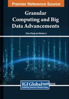 Granular Computing and Big Data Advancements