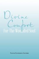 Divine Comfort For The Wounded Soul