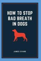 How To Stop Bad Breath In Dogs