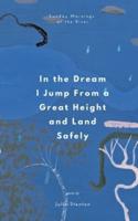 In the Dream I Jump From a Great Height and Land Safely