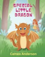 Special Little Dragon