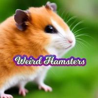 Weird Hamsters