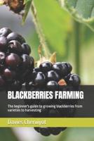 Blackberries Farming