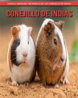 Conejillo De Indias