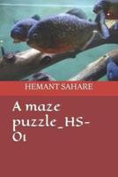 A Maze Puzzle_HS-01