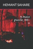 A Maze Puzzle_HS-11