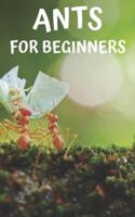 Ants for Beginners