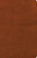 CSB Large Print Personal Size Reference Bible, Digital Study Edition, Burnt Sienna LeatherTouch