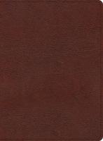 KJV Study Bible, Large Print Edition, Brown Bonded Leather