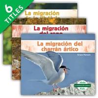 La Migración Animal (Set)