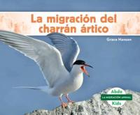 La Migración Del Charrán Ártico (Arctic Tern Migration)